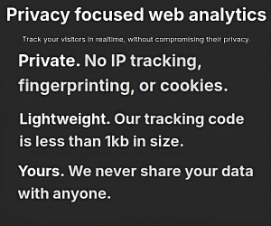 web analytics
