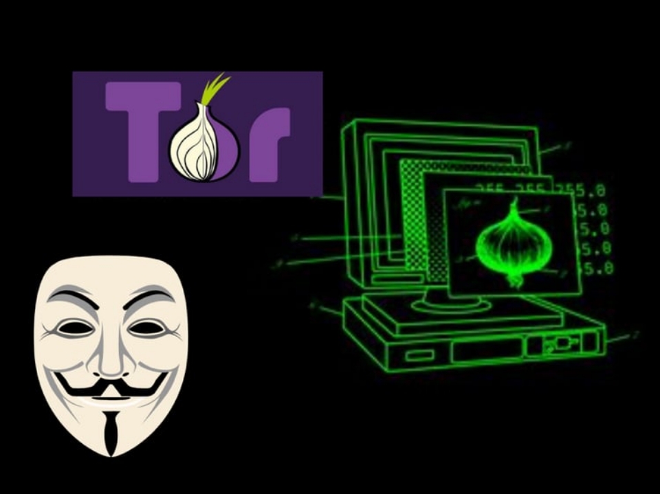 Installing Secure Tor Onion Hidden Services on Ubuntu (CLI and Webmin Guide)